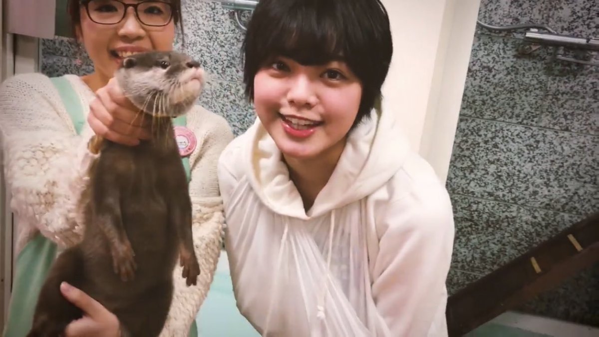 2018平手カワウソ1