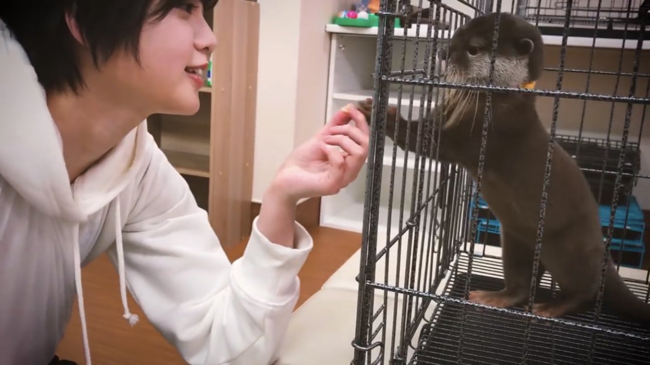 2018平手カワウソ4