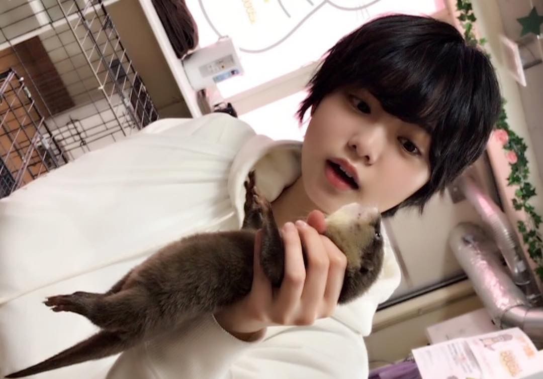 2018平手カワウソ3