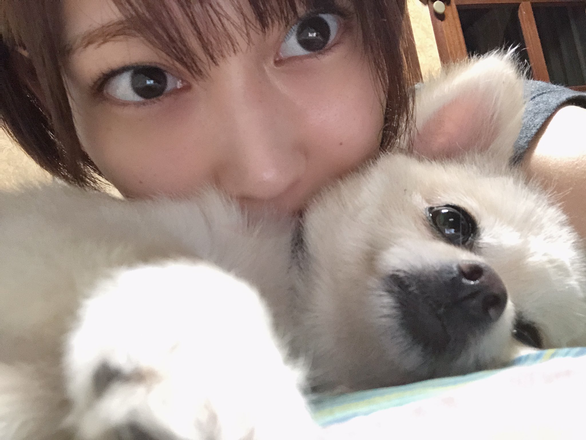 2019志田7月1日