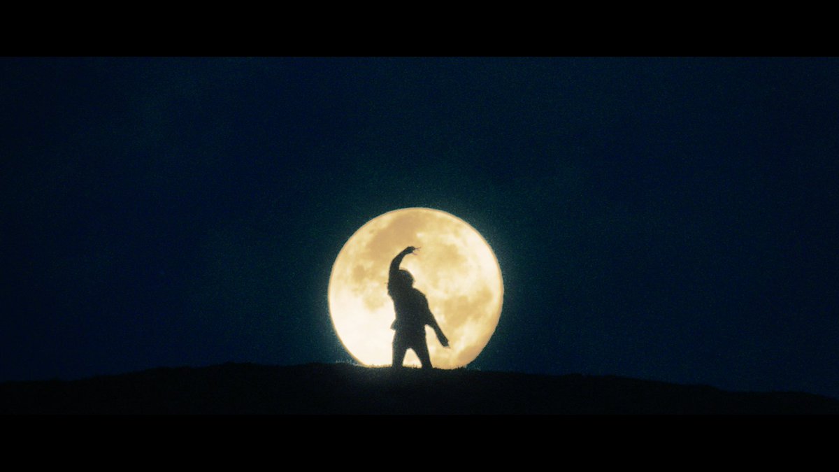 2019スターゲイザー1